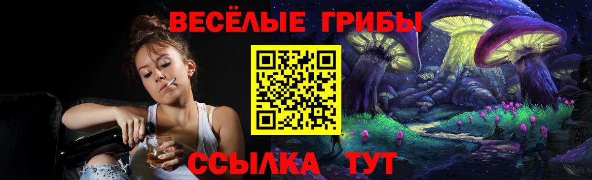 Галлюциногенные грибы мицелий  Вход с VPN  Псилоцибиновые грибы мицелий  закладки  Вязьма 